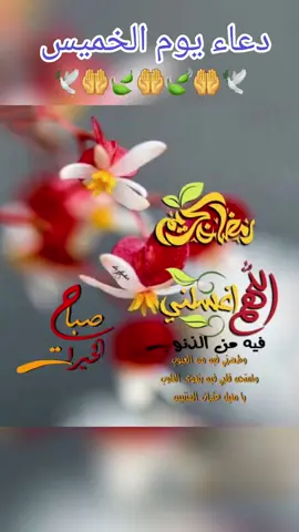 #دعاء#يوم#الخميس #صباحكم_معطر_بذكر_الله🤲🦋🕊💜❤🤍💚 