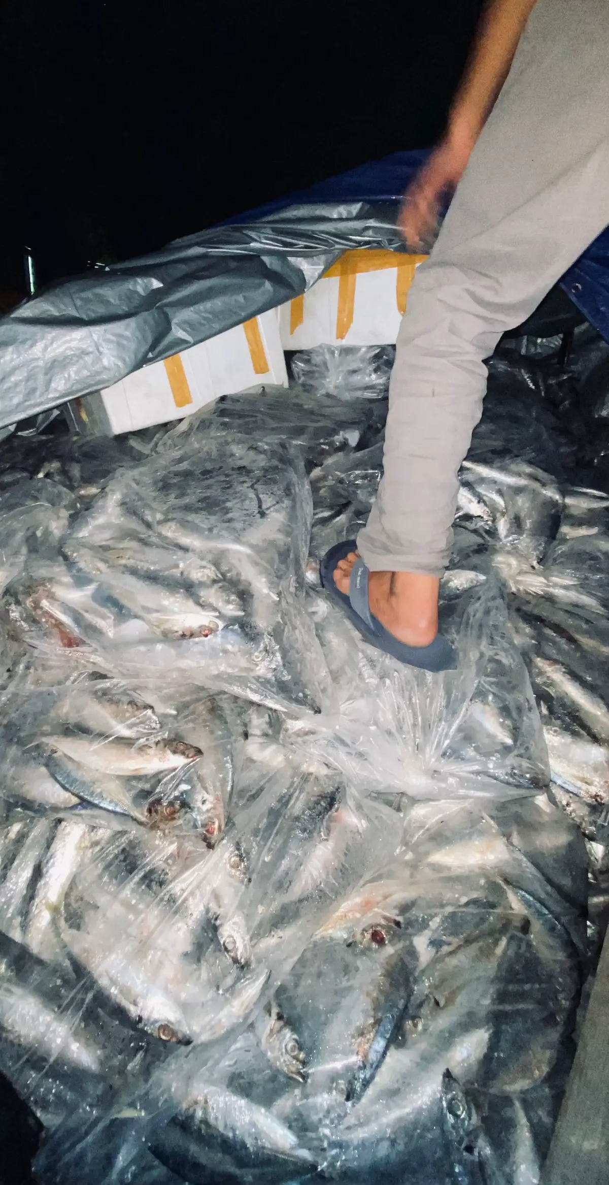 Bagian 393 | #fotorandom #fotoestetik #randomfoto 