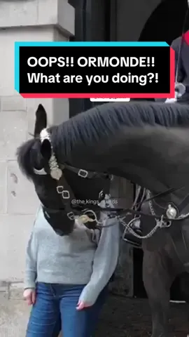 Ormonde’s back to deal with silly tourists. BEST OF ORMONDE compilation.  #horseguardsparade #changingoftheguards #thekingsguards #horse #foryoupage #tiktokviral #tiktokbeta #fyp #foryou #fypシ #fanpage #tourists #London #trending #tiktokuk #London#trending #follow #subscribe #like #share #ormonde #bite 