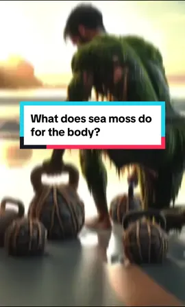 If you havent tried this supplement yet i would highly reccommend that you start taking it asap. I have only had positive results since trying it out about two weeks ago. Increased energy throughout the day is the biggest difference ive noticed. #seamoss #multimineral #ashwagandha #blackseedoil #burdockroot #fypシ #fyp 