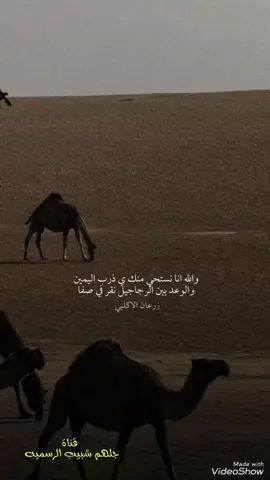 الوعد بين الرجاجيل #قصائد_شعر_عتاب_غزل 