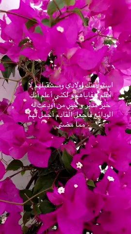 ‏ صباح الخير والبركة#االاكسبلور