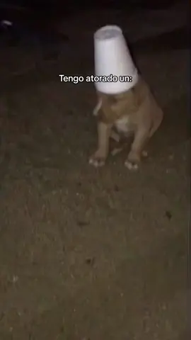 Sadboyz por siempre ❤️‍🩹 #CapCut #viral #parati #fly #juniorh #sadboyz4life #triste 