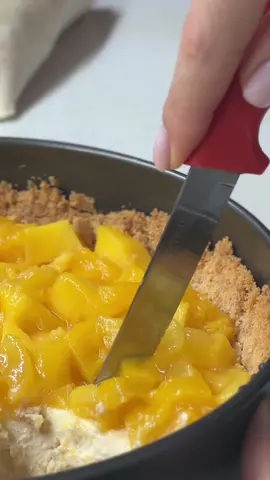 Чизкейк с манго 🥭 *У меня полная импровизация , можно сделать все тоже самое с обычным творожным сыром и будет классический чизкейк🤎  Ингредиенты: - печенье 250 г (у меня 2 пачки юбилейного) - яйцо 2 шт - сливки 30-33% 150 мл - рикотта 250г ( у меня 2 упаковки Bonfesto манго-маракуйя ) - сах. песок 60-70г,или сах.зам 3 пакета - сливочное масло 50-70 г - сок лимона 1 ст. л. - мускатный орех на кончике ножа - крахмал по желанию если кажется, что чизкейк жидковат. Основа: •Перемолоть печенье в крошку,добавить сливочное масло и перемешать •Утрамбовываем в форму ( у меня диаметр 20см), делаем бортики и в духовку при 180 °на 5-10 мин. (Я заранее ставлю миску с водой в духовку) Начинка : •Смешиваем рикотту с сахаром и мускатным орехом, перемешиваем  •Вводим сливки и продолжаем мешать , не взбивать!  •Добавляем по очереди яйца ,затем  лимонный сок, крахмал и мешаем лопаткой •Выливаем начинку в основу,стучим форму , что бы убрать лишние пузырьки воздуха и выпекаем чизкейк 10-15мин. при 180-200° затем убавляем температуру до 120℃ и готовим еще ~1-1,20 ч. •Оставляем чизкейк в выключенной духовке на 30 мин, потом еще с приоткрытой дверкой на 30 мин , далее при комнатной температуре до полного остывания .  Чизкейк обязательно убрать в холодильник на ночь ! Украшаем свежим или как я консервированным манго , по желанию залить желе ) 📌Сохраняй - это очень вкусно! . . . . . . . . . . . . . . . . . . . . . . . . . . . . . . . . . . . . . . . . . . . . . . . . . . . . . . . . . . . . . . . . . . . . . . фудблогер#готовкаэстетика#рецепт#рецептынакаждыйдень#романтик#послеработы#кулинария#отдыхпослеработы#ужин#романтическийужин#готовкасвином#еда#вечерпослеработы#вкусно#folowers#foryou#food#готовимдома#2024#рек#тикток#рецептдня#чизкейк#рецептчизкейка#классическийчизкейк#чизкейкрецепт#чизкейксманго#вкуснаяеда#едадома#безсахара#манго