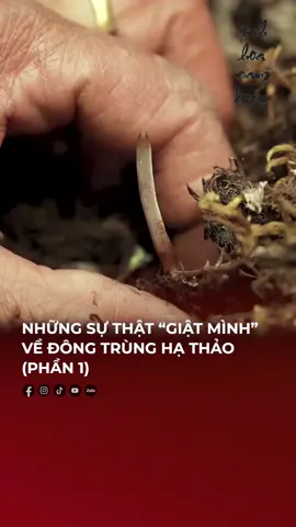 Những sự thật 