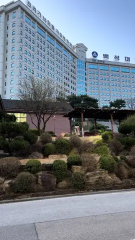 #spring #southkorea🇰🇷 #naturevibes🌿 #keepcleantheearth🌍 #한국 #livethelife #staypositive #백석대학교 #foryou 