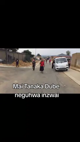 Kana guhwa rapinda mutsinga dzomunhu anongoti chero akaona munhu waasingazivi achizvitaurira nyaya dzake ototi tsvaramata naye . Honaivo Mai avo