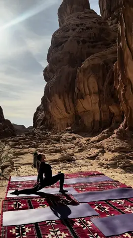 #habitasalula #alula 
