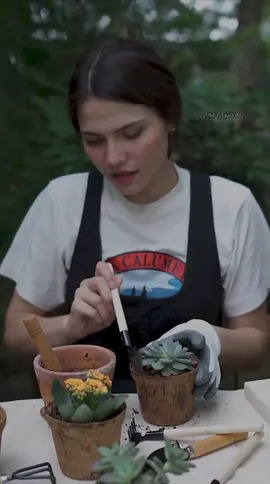 ‌ئەی ئەوەی من گوناھبار دەكەیت ئەی گەمژە گوناھی من نییە تۆ ناتوانیت یاقووت ڕاو بكەیت گوناھی من نییە تۆ لە جنسی خشۆكەكانیت و من لە ڕەگەزی تۆڤان من لە جنسی خوداكانم و تۆ لە جنسی مێروولە خوساوەكانی ژێر باران من سەر بە خێڵی ئەستێرەناسەكانم، تۆ كرمفرۆشێكی بیمار تۆ پاسەوانی كەلاوەیت، من ئەندازیاری یۆتۆپیام تۆ لقی درەختێكی كرمێیت، من نوور و گڕ و ڕەشەبام گوناھی من نییە تۆ ناتوانیت گوڵ بگریت گوناھی من نییە، سەری تۆ لە دڕك زیاتر ھیچ ناگرێت ئەوەی من دەینێرم بۆ ئەبەدییەت بە تۆ ناگەڕێتەوە ئەو خاك و زەریایانەی من دروستیاندەكەم، بە گەزی پەڕپوتی تۆ ناپێورێن تۆ ئەی كڕیاری كۆنی زبڵخانەی ژیان دانی تۆ لەوە پیرترە، گوێزی پڕ حیكمەتی من بشكێنێت لوتی تۆ لەوە زەلیلترە، بۆنی باغی من بكات. ـــــــــــــــــــــــــــــــــــــــــــــــــــــ 