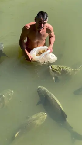 #valdemir  encantador de peixe gigante 