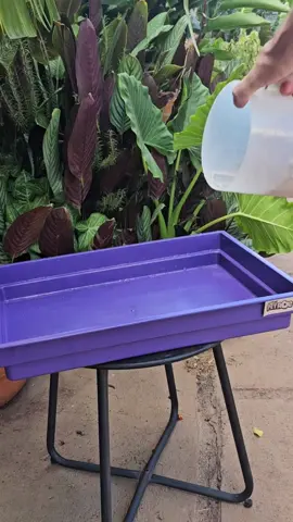 Tem coisa melhor do um ambiente seguro e cheio de amor?  A gaiola para coelho, porquinho da Índia e chinchila da nossa linha PetRoe é perfeita, pois é segura e prática.  Consulte nossos demais produtos da linha PetRoe da Jel Plast. Se você é distribuidor, lojista ou e-commerce, entre em contato e conheça nossas condições especiais de vendas.  WhatsApp  14 99618 2498 14 99856 3852 #jelplast #gaiolas #hamster #chinchila #pets #petroe #petpiu #petau 