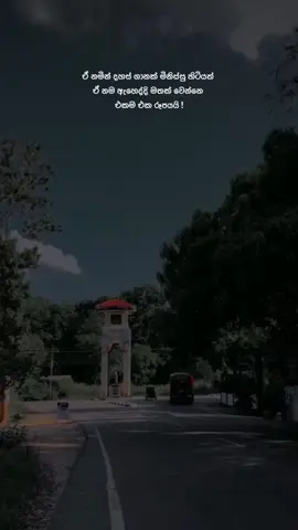 Suduu 🥺🩷 #dushquotes #viral #foryourpage #viralvideo #fypジ#300k #srilankan #frypgシ 