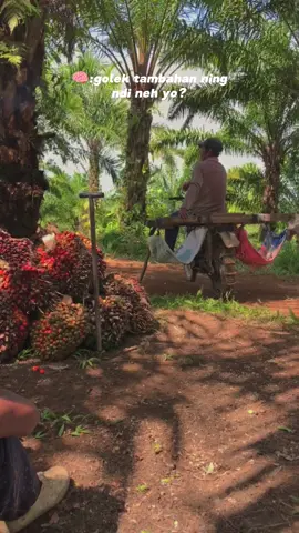 diluk neh lebaran ga nyekel duet blas 🙃#petanimuda #petanisawit #CapCut 