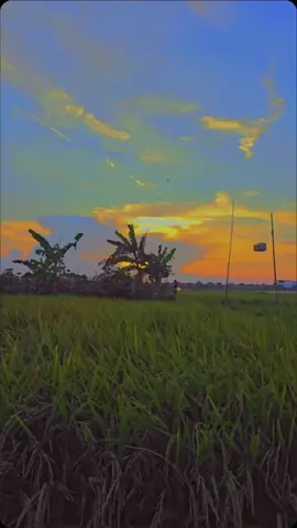 Sholawat Burdah #CapCut #sholawat #liriksholawat #merdu 