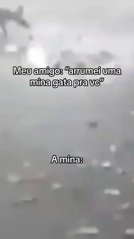 É gambá ou manganga credo #meme #gambaoumaganga #viral