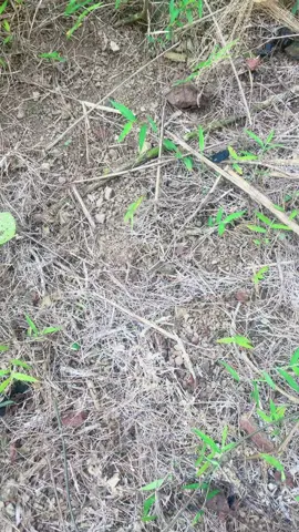 Mệt, thật sự rất mệt!