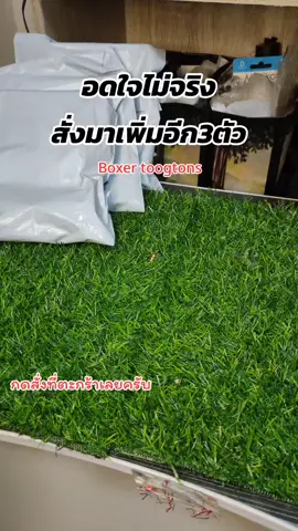 โดนป้ายยา boxer ที่นุ่ม ใส่ได้ทุกตอนส์#ผู้ชายติดเกม #toogtons #ทุกตอนส์ #ทุกตอนส์ตอนไหนก็นุ่มมม #เทรนด์วันนี้ #รีวิวของดีบอกต่อ #boxer 