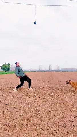 #fyp #tiktokdogs #puppy #dogsoftiktok #tiktokdog #petdog #viral #nyc #lovepetsusa #foryoupageofficiall 