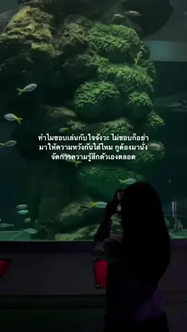 เห้อเเต่เค้าก็ไม่ผิดหรอกมันผิดที่เราคิดเอง☹️#เธรด #เธรดความรู้สึก #เธรดเศร้า #ฟีดดดシ #fyp 