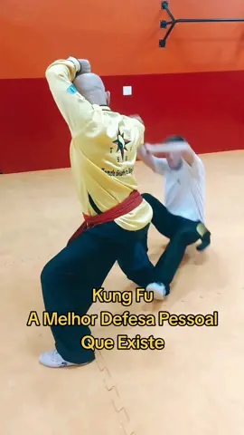 #tskf #kungfu #kungfuadistancia #kungfuonline #wushu #louvaadeus #artemarcial #artesmarciais #shaolin #chikung #camisadeferro #humor 