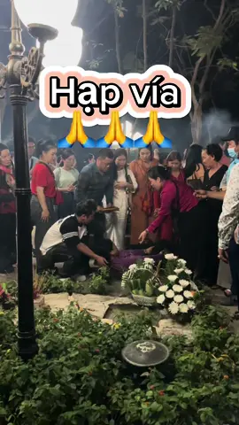 Hạp vía #vothisau #mocovothisau #condao #thuexemaycondao #dangleho #cungho #dolecondao #cosaulinhthieng #nghiatranghangduong #vetaucaotoc #dulichcondao #xuhuong #xh 