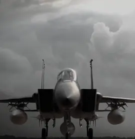 US military had to lock in real quick #f15 #mcdonelldouglas #edit #fyp #xybca #military #aviation #jets #coldwar #mig25 