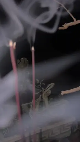 Wangi Dupa Menambah Kekhusyuan Dalam Merenung Ciptaan Tuhan Di Malam Hari #merenung #malam #ramadhan2024 #vibesramadhan #malamjumat #fyp #hening #kenduribudaya #ruwatannusantara #daulatbudayanusantara 