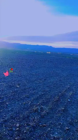 H 💔 T 💔 Janan 💓 H afeez 💓 khan 💓