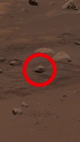 Som ET - 52 - Mars - Perseverance Sol 805 - Video 2
 
 This image was acquired on May 26, 2023 (Sol 805).
 
 NASA Images: https://mars.nasa.gov/mars2020/multimedia/raw-images/?order=sol%20desc&per_page=100&page=1&mission=mars2020%2Cingenuity&begin_sol=805&end_sol=805
 
 Audio: Som ET - 52 - Mars 
 
 Credit: NASA/JPL-Caltech/MSSS
 
 #nasa #mars #curiosity #perseverance #marte #марс #المريخ #ดาวอังคาร  #مریخ #火星 