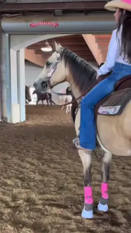 this cover tho😻💝 edit of @Bailey Fowler     #barrelracing #horse #fyp #viral #aqha #flex #fab #faboulouslastwords #baileyfowler #streakinlilwayne #slw #horses #barrelracingtok #barrelracerland 