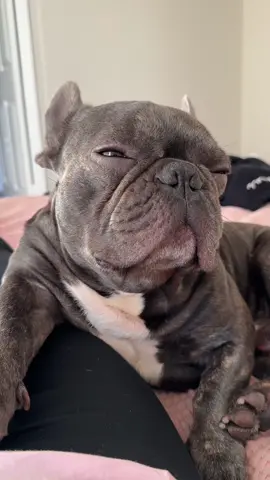 Waht do you think he was thinking of? 😆