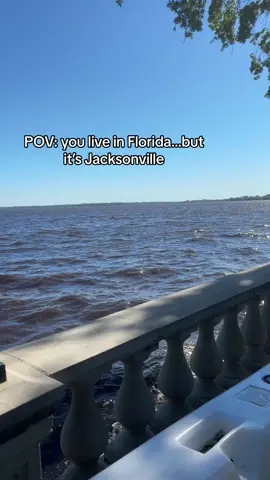 Dis💥🔫🌴Florida not ✨🌸🌴Florida #904jax 