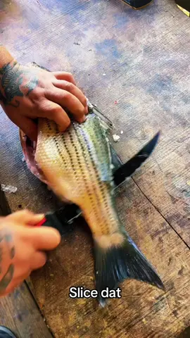First fish first meal part 297 #fyp #catchcleanandcook #beardedfisherman #fishing #fish 