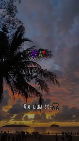 NO ME VUELVO A ILUCIONAR🎧🎶❤️‍🩹#dale❤️ #binomiodeoro #vallenato #🇪🇨🌎💓 #buenamusica #sigueme_para_mas_videos_asi #lyrics #fypシ #🎶🎧🎙🌼💗 