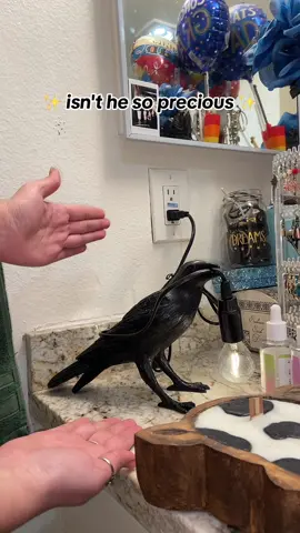 what can i say, i like weird items #birdlamp #ttsacl #weirdfind #lamp #shoppingfinds #bedroomdecor #bird 