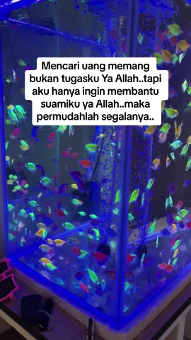 #soundviral #pejuang1k #affiliatemarketing #tiktokaffiliate #tiktokaffiliate #viraltiktok #1kviews #miomirza 