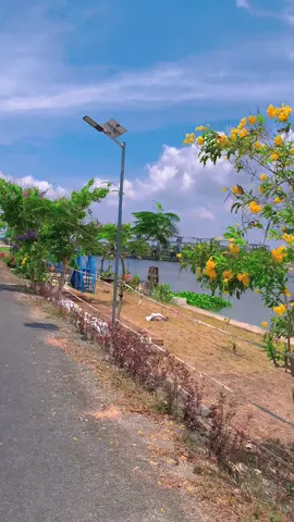 🧐Có ai ở Trà Vinh  mà không biết cống này như mình không nè ....(đây là cống 10 cửa nha) ☘️#xuhuong2024tiktok❤️🌈✔️ 