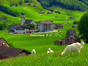 #view #switzerland #fly 