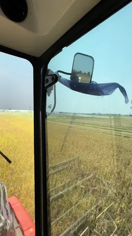 หวานจ้อยไหมละทีนี่ 🤣#รถเกี่ยวตู้แอร์💝 #รถเกี่ยวคูโบต้า🌾🌾🌾 #วัยรุ่นรถเกี่ยว #ดันขึ้นฟีดทีงั้บบ💗😘 