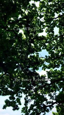 🎵The Song Arcade🎵: Part 10 🎧 Just some songs I wish to share. 😁 #music #songshare 🤍