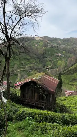 Hiç ihanaete uğradınız mı #karadeniz #karadenizli #karadenizşarkıları #karadenizlilerburdamı #horon #horonkaradeniz #tulum 