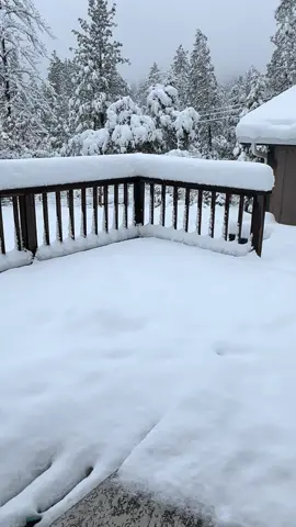 #snow 