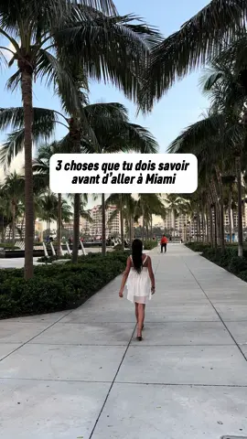 Personne ne parle du point 3 😥 IG : noemie__sk #bonplanvoyage #voyage #pourtoi #traveltiktok #vacances #miami 