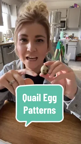 did you know this about quail eggs? #LIVEhighlights #TikTokLIVE #LIVE 