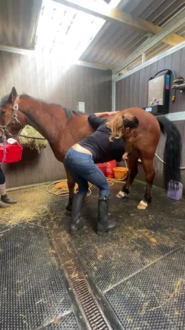 Removing a massive bean from Teddy. A 5 year old 12.2 New Forest ony whos nevee been cleaned before #equestrian #equestrianlife #sheathcleaning 