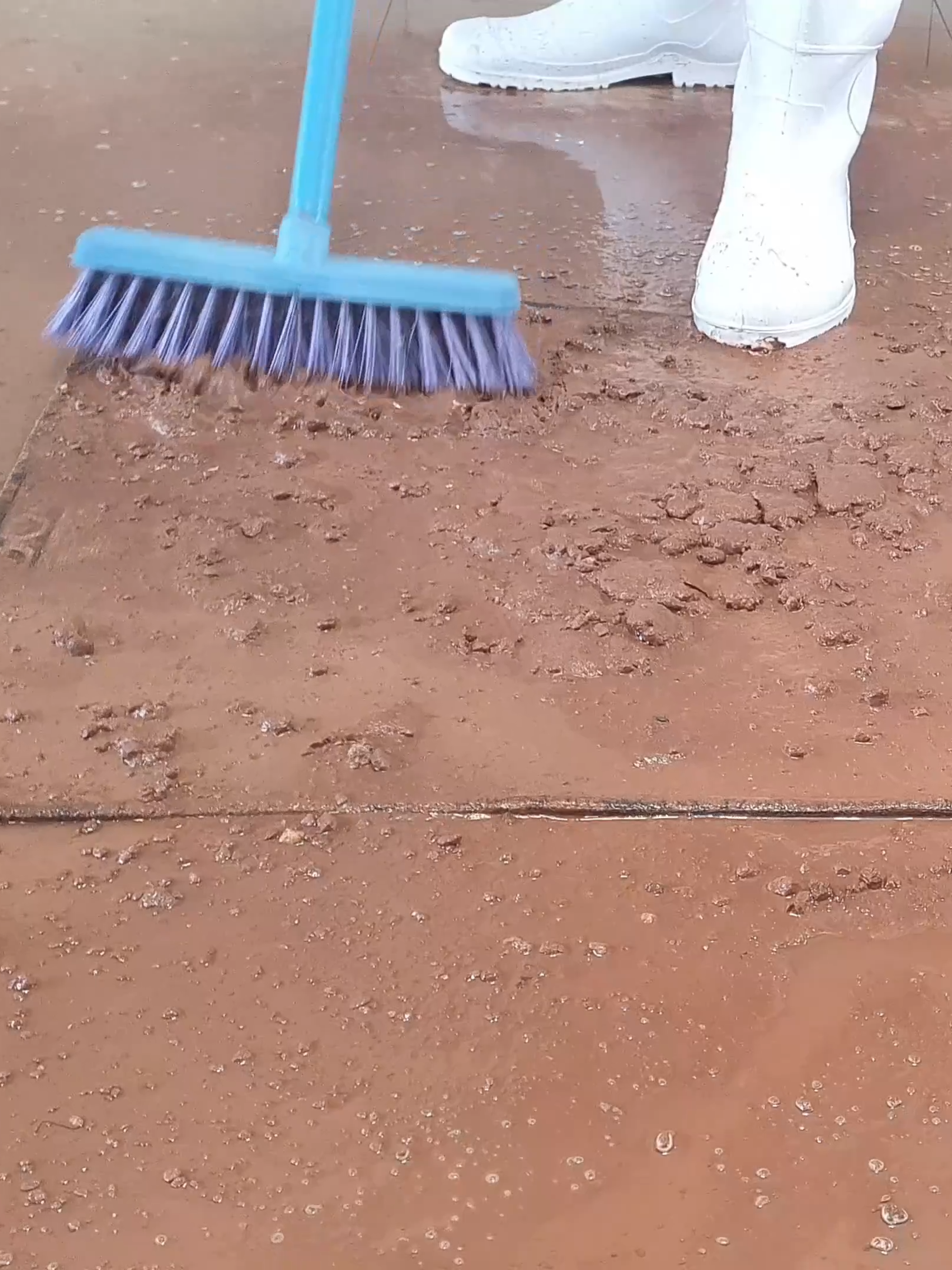 I cleaned the carpet with a lot of dry mud -ASMR Satisfyng rug cleaning#asmrsounds