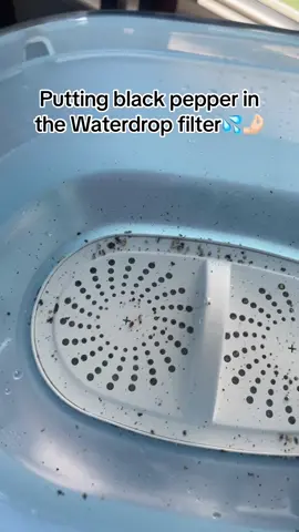 Fresh, clean water #tiktokshop #waterdropfilter #ttshop #pitcher #waterfilter #ttsacl 