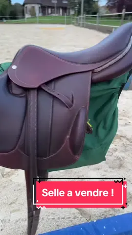 Ma selle est à vendre ! Je la vends parce que je change tous les 2 ans, ça permet de faire profiter d’une belle selle quasi neuve à des personnes ne souhaitant pas payer le prix d’une neuve ❤️❤️ #cheval #poney #equitation #bailefanach #selleequitation #devoucoux 