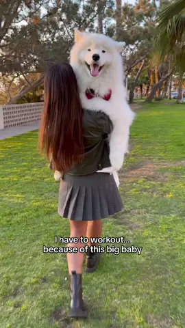 Just a dog mom and her big baby ☁️🥰 #dog #samoyed #workout 