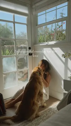 my favorite part of my every day🫶🏼🥺✨ #dogmom #goldenretriever #dogmomlife #dogsofttiktok 